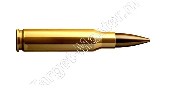 <br />.308 WINCHESTER